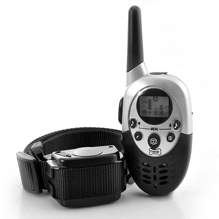 Collier dressage chien