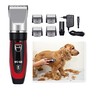 Tondeuse chien