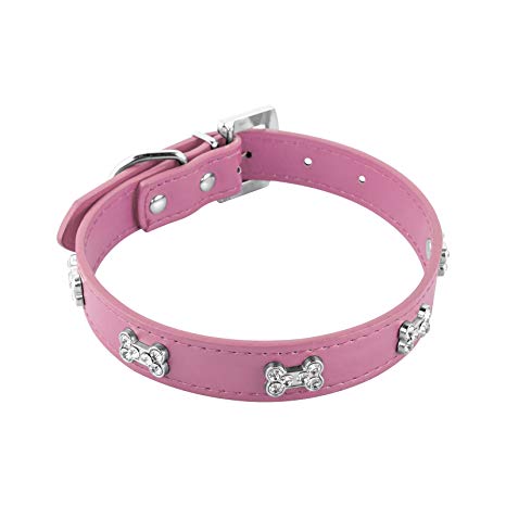 Collier chien