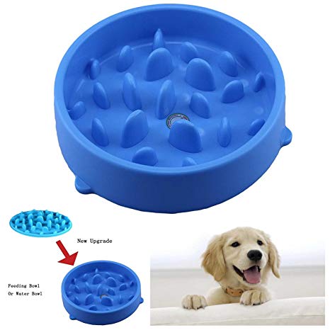 Gamelle pour chien