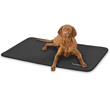 Tapis pour chien