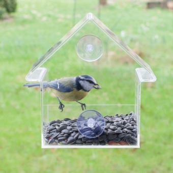 mangeoire oiseaux