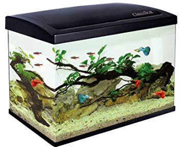 aquarium