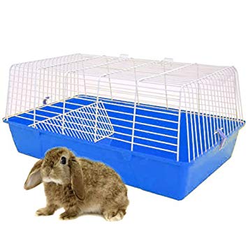 cage lapin
