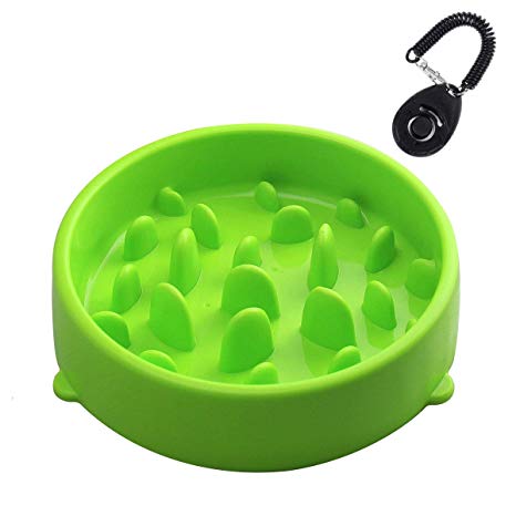 gamelle anti-glouton