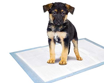 tapis hygiénique chien
