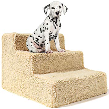 escalier pour chien