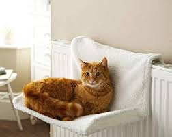 hamac pour chat