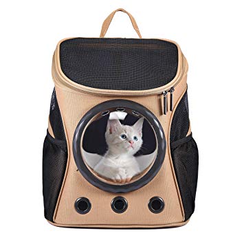 Sac De Transport Pour Chat 21 Comparatif Test Pour Trouver Le Meilleur