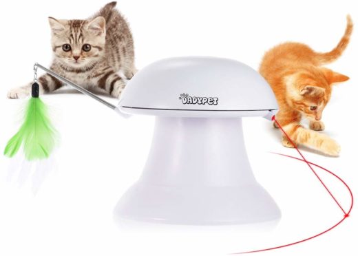 jeux pour chat